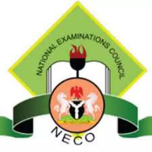 Appointment of NECO Registrar should not be on the basis of ethnicity – Rights Group